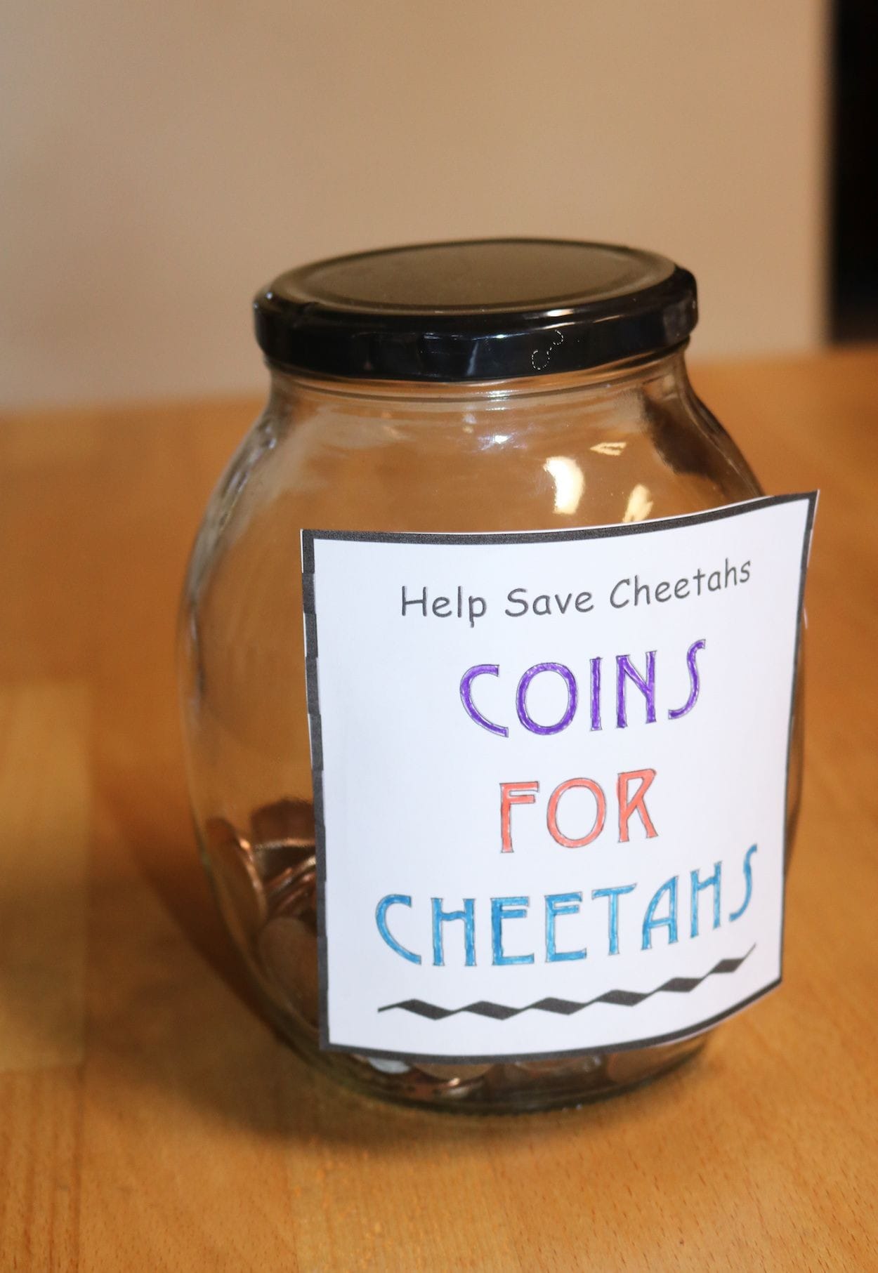 Collect coins to help save cheetahs. Use this cute label on your own jar and start collecting today.